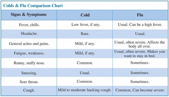 Flu Vs Common Cold Chart